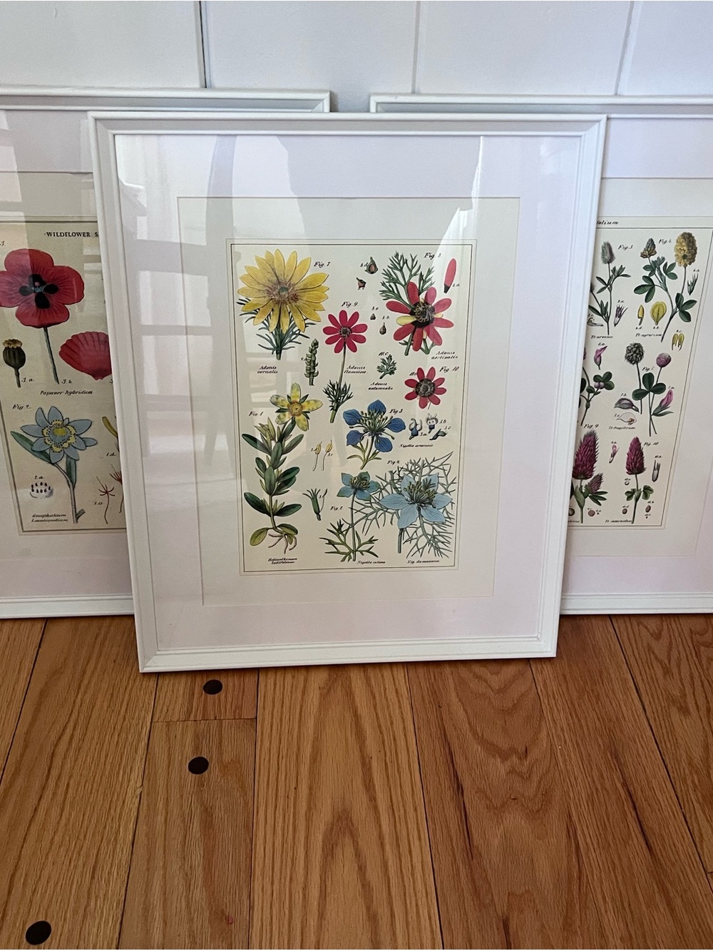IKEA White-Framed Botanical Print with Yellow, Pink, Blue, Green Accents